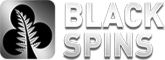 black spins logo