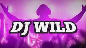 DJ Wild Online Pokies