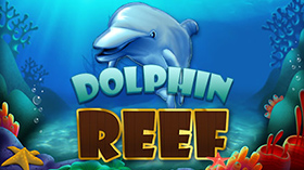 Dolphin Reef
