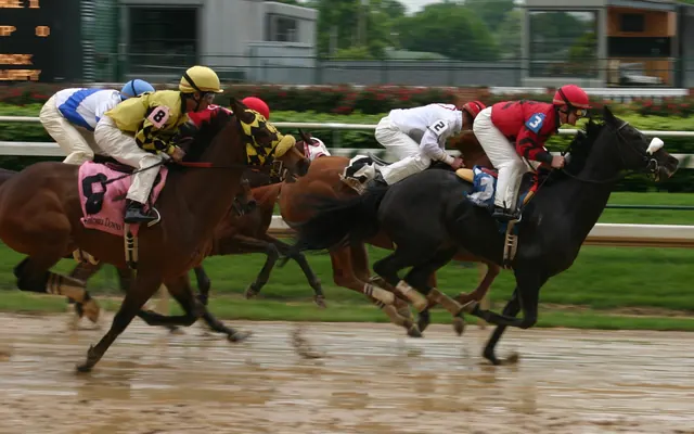 Horses racing on a turf track